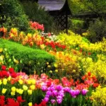 Idee per il giardino