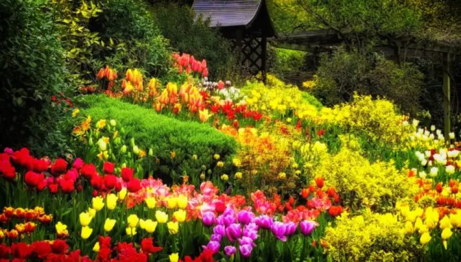 Idee per il giardino