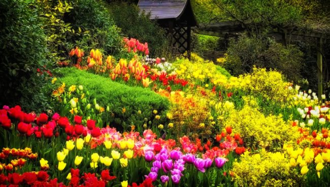 Idee per il giardino